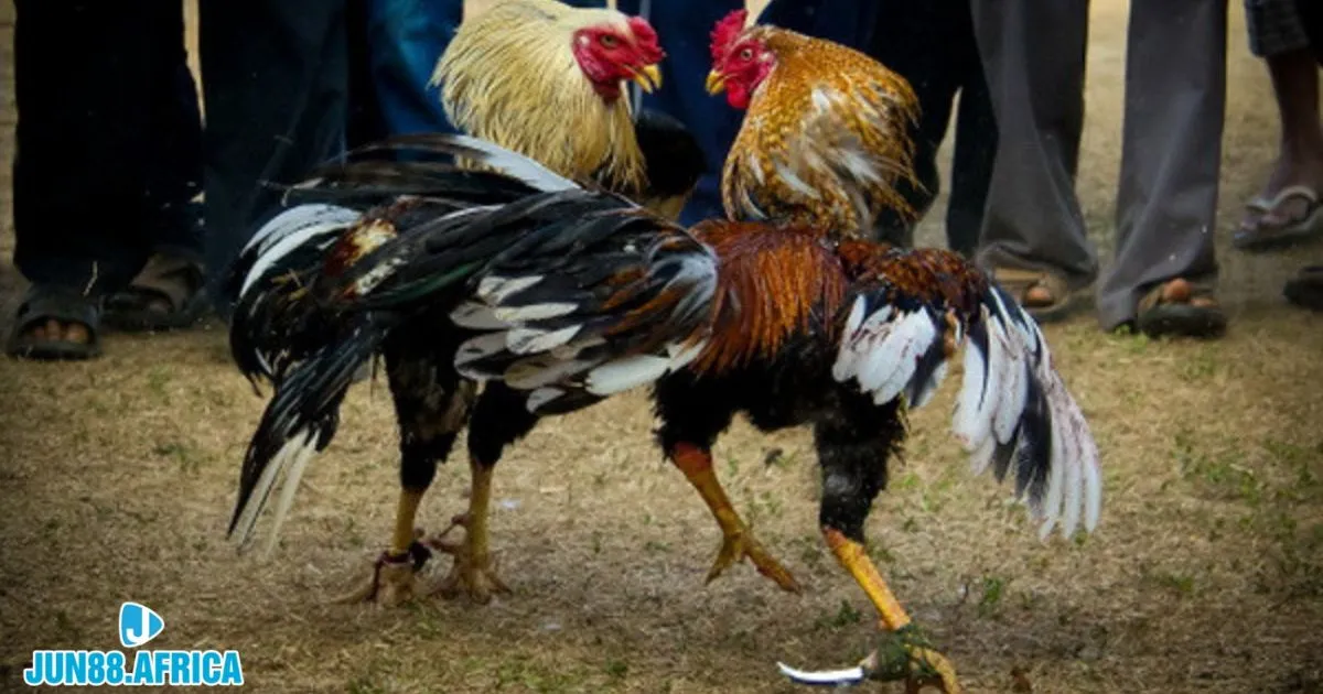 Trang web hỗ trợ xem ngày hợp mệnh