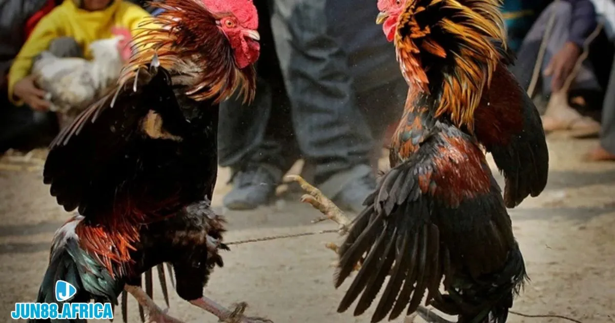 Theo dõi các bảng lịch vượng và ngày tốt theo mệnh