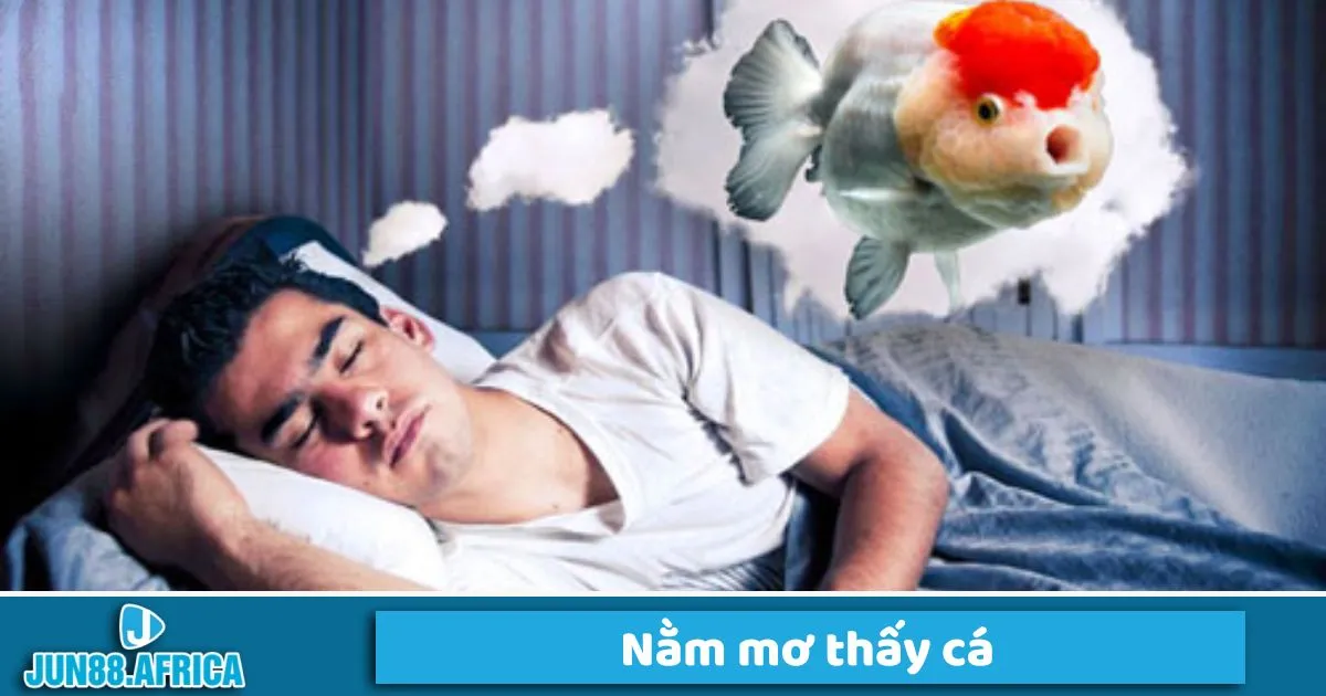 Mỗi loại cá tưng ứng với số nào