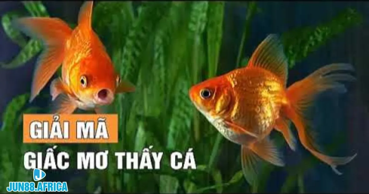 Cá vàng luôn là biểu tượng của sự giàu có