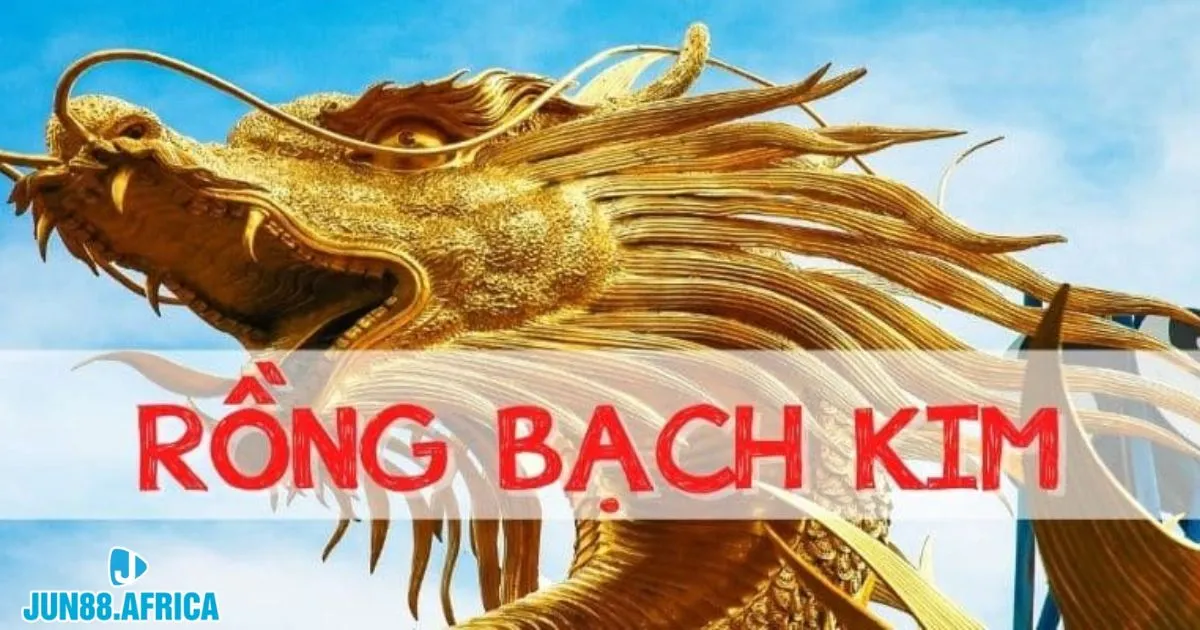 Rồng Bạch Kim Jun88 – Công Cụ Soi Cầu Hỗ Trợ Anh Em 4 Kết hợp cầu lô và bảng đặc biệt